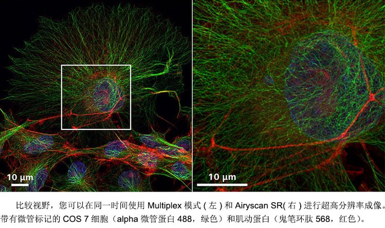 西宁共聚焦显微镜